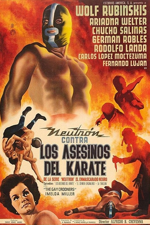 Neutron Battles the Karate Assassins Poster