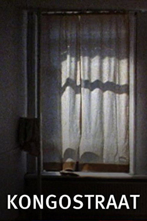 Kongostraat Poster