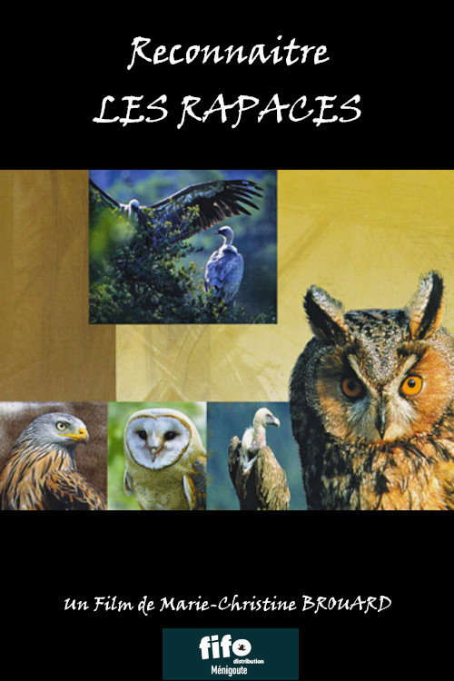 Reconnaitre les Rapaces Poster