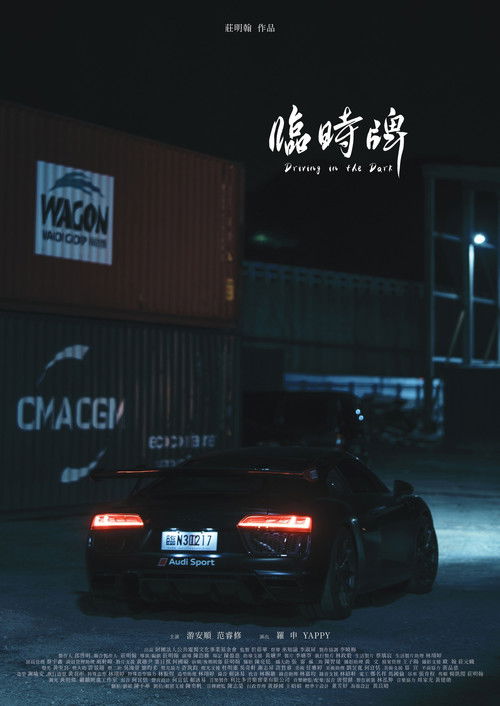 Driving in the Dark Poster