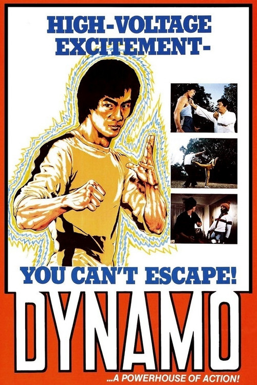 Dynamo Poster