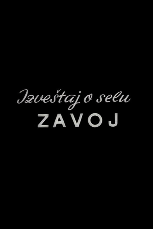 Report from the Zavoj Village Poster