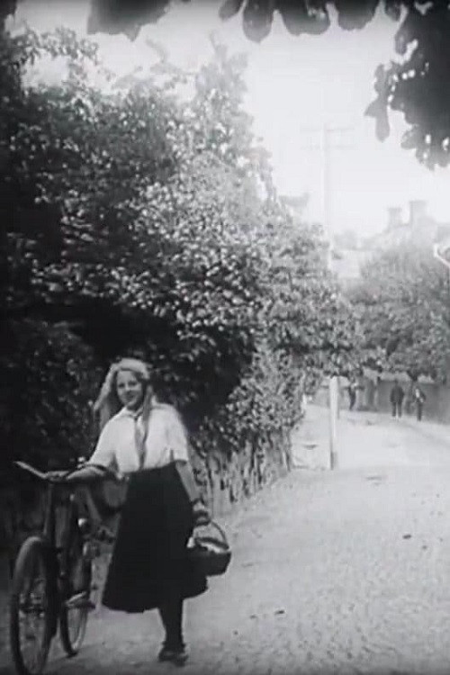 Kungälv, One of Sweden's Most Memorable Cities Poster