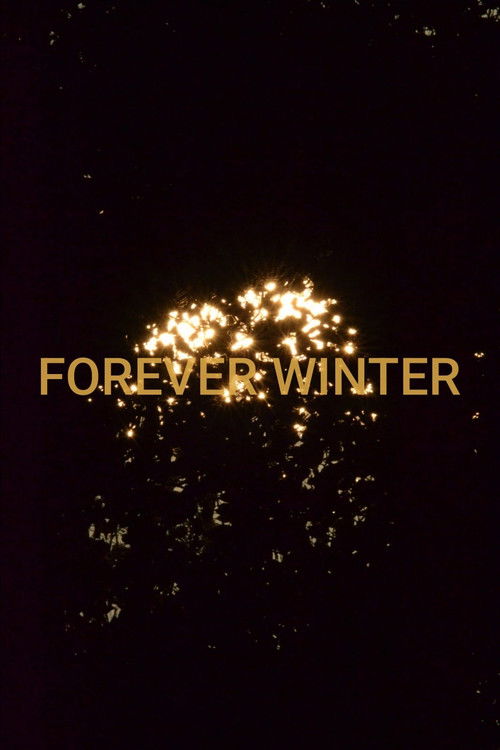 Forever Winter Poster