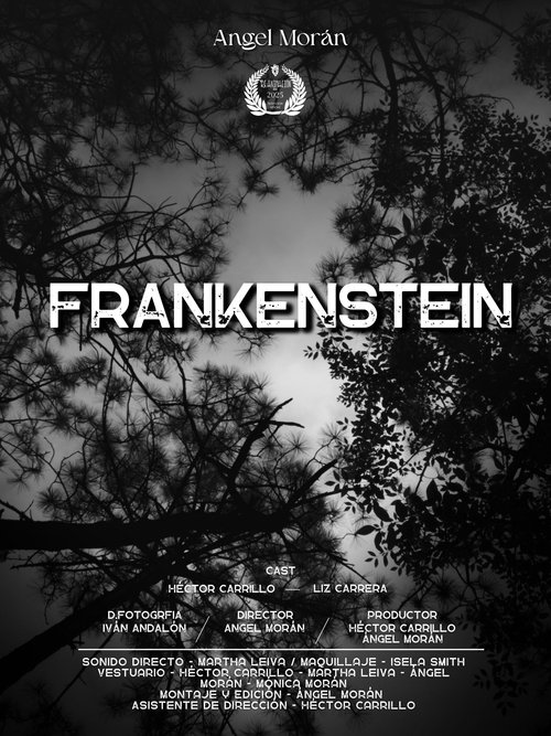 Frankenstein The Creature Poster
