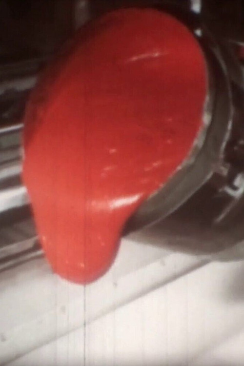 Gewebe + Plaste = Kunstleder Poster