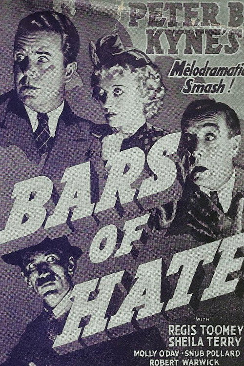 Bars of Hate Poster