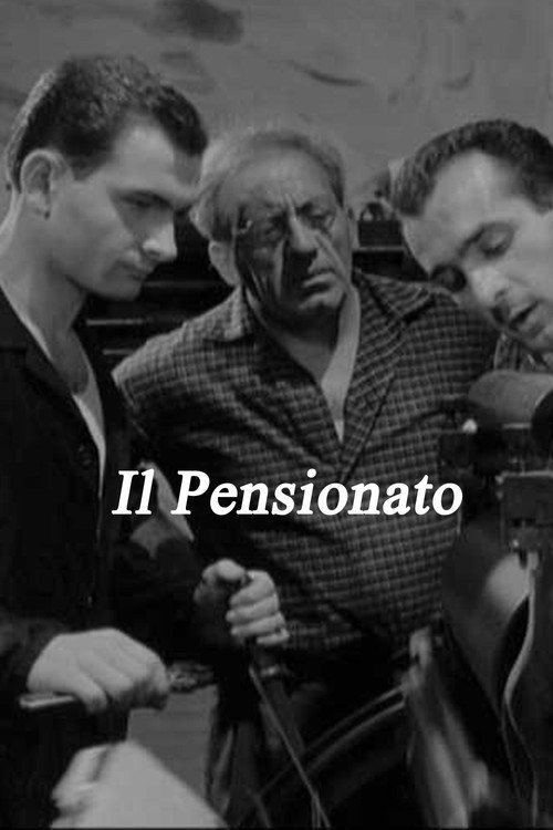Il pensionato Poster