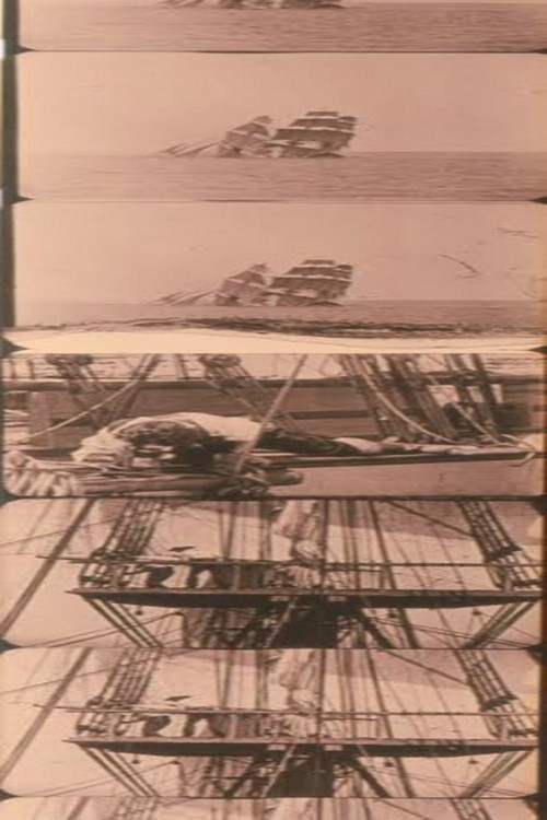 Untitled Joseph Cornell Film (The Wool Collage) Poster