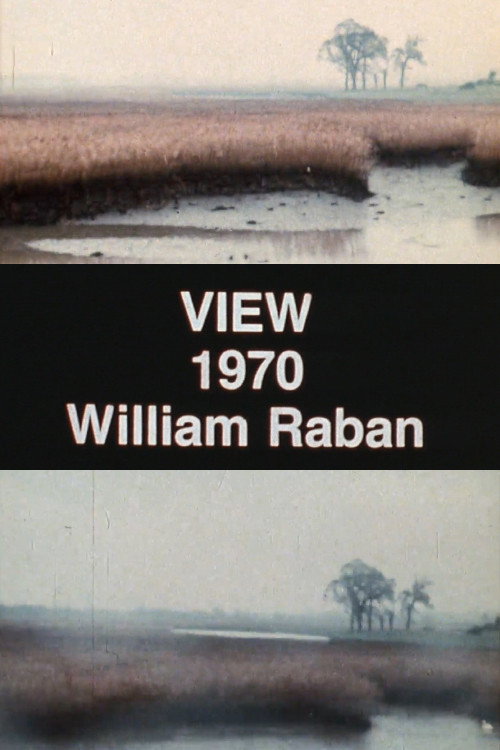 View Poster