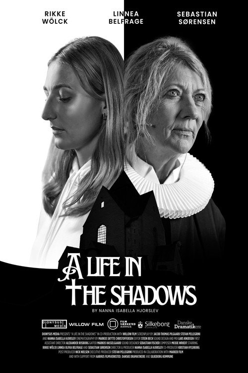 A Life In The Shadows Poster