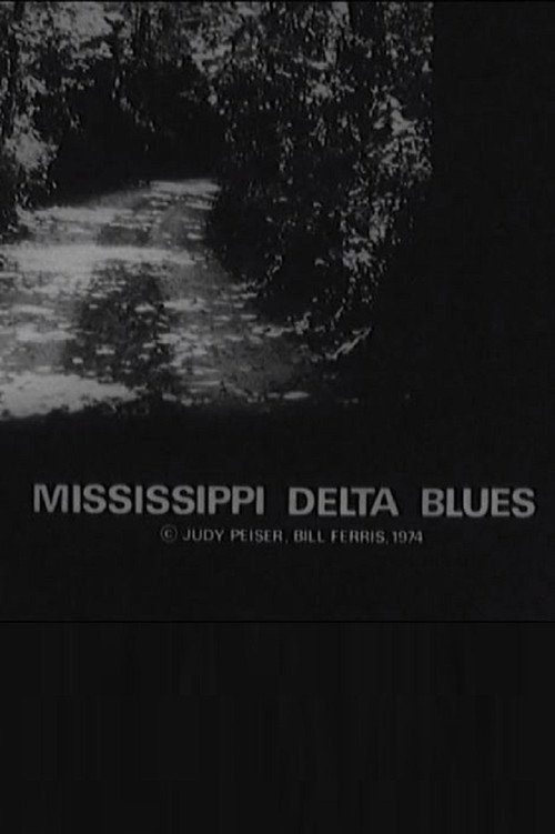 Mississippi Delta Blues Poster