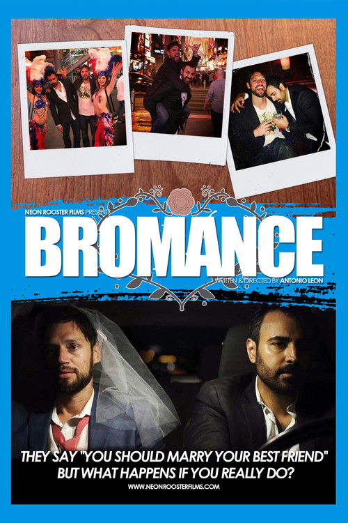 Bromance Poster