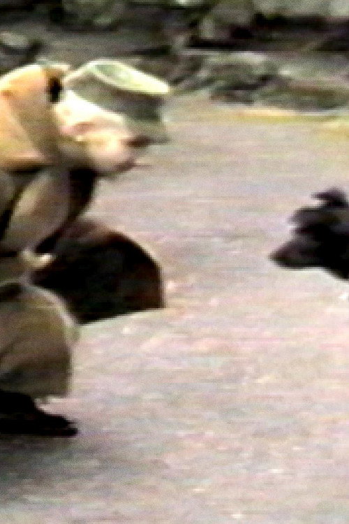 L'incident "Jones" Poster