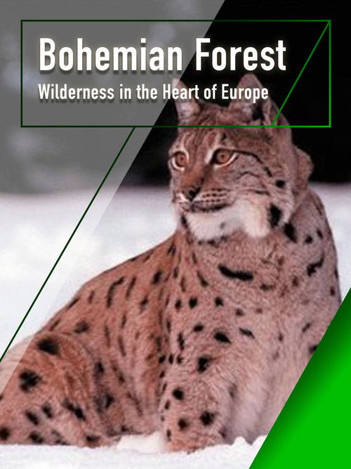 The Bohemian Forest - Wilderness in the Heart of Europe Poster