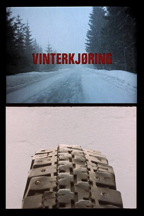 Oslofilm: Vinterkjøring Poster
