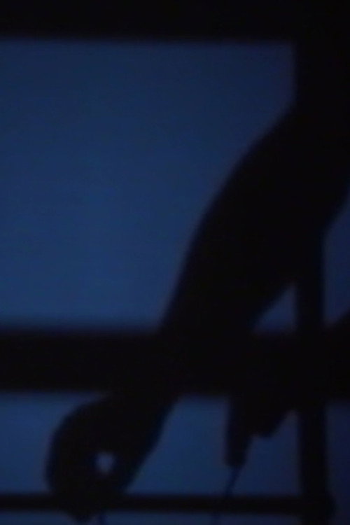 No. 3 Poster
