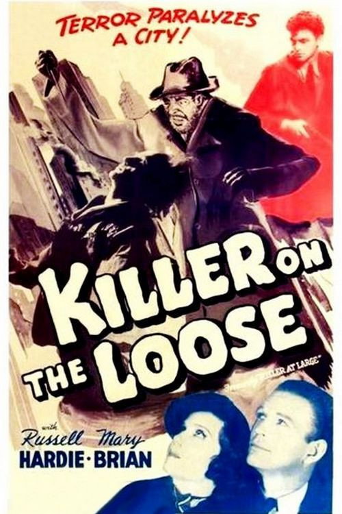 Killer at Large Poster