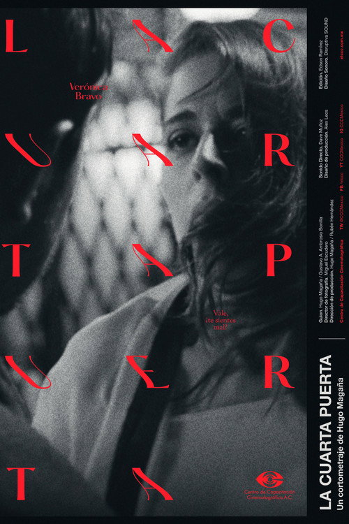 The Fourth Door Poster