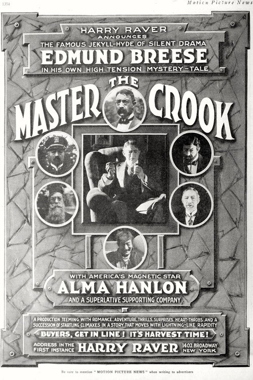 The Master Crook Poster