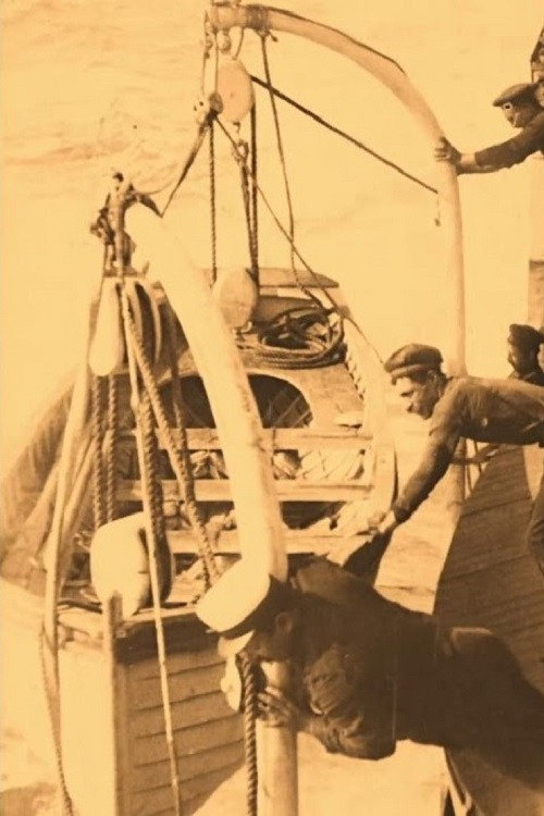 A Trip to Brazil Poster