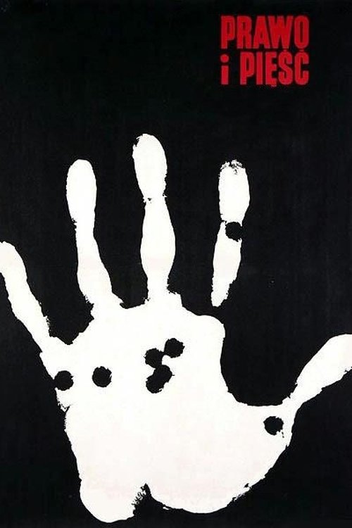 The Law and the Fist Poster