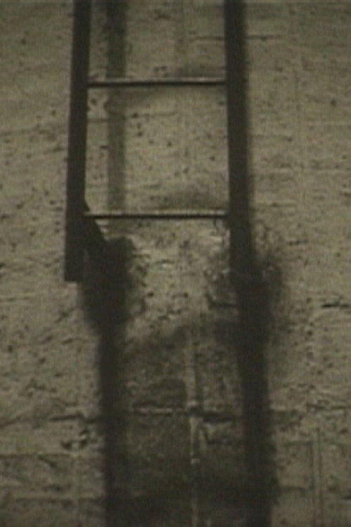 The Sights of the Suburb Poster