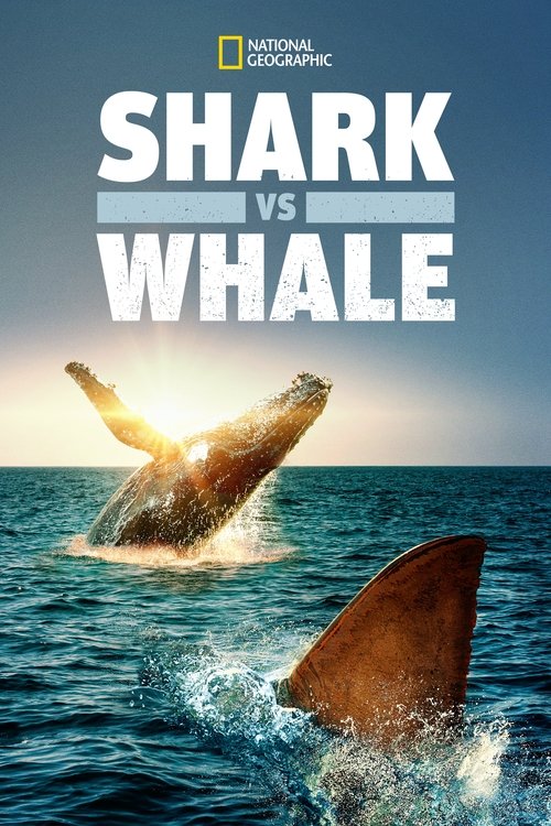 Shark Vs. Whale Poster