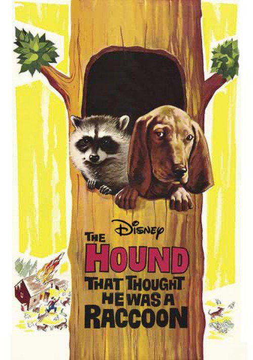 The Hound That Thought He Was a Raccoon Poster