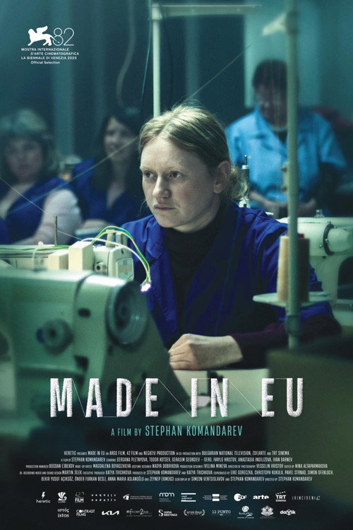 Made in EU Poster