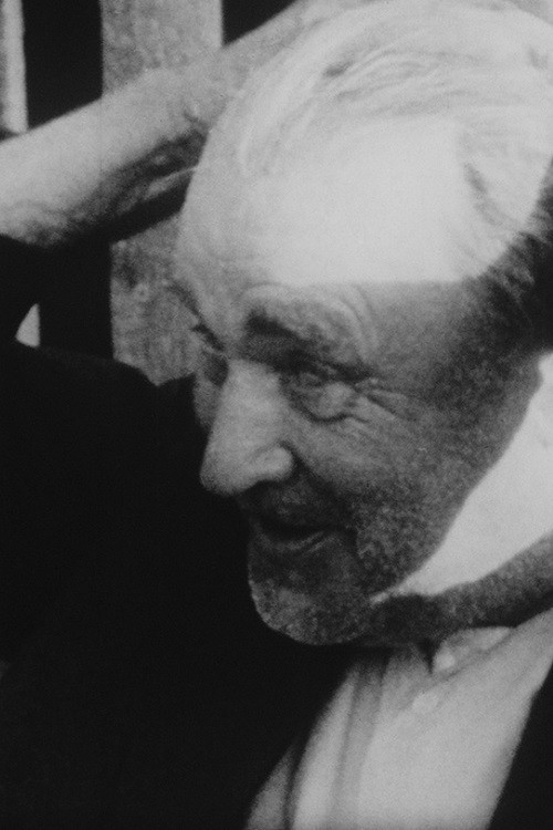 Faces in the Shadow Poster