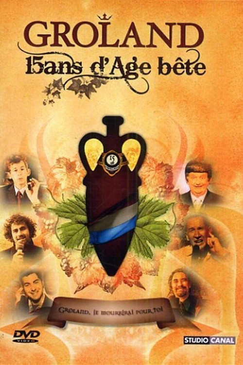 Groland - 15 ans d'âge... bête Poster
