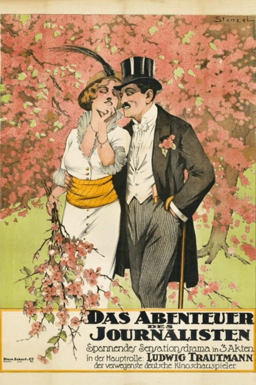 The Adventure of a Journalist Poster