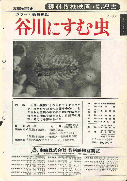 新昆虫記・谷川にすむ虫 Poster