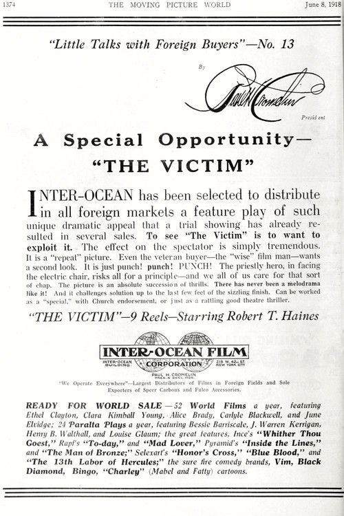 The Victim Poster