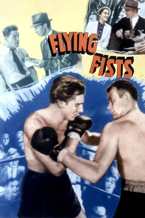 Flying Fists Poster