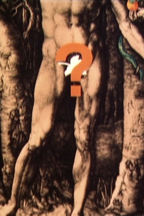 Geschlechtsorgane Poster