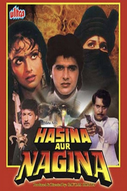 Hasina Aur Nagina Poster