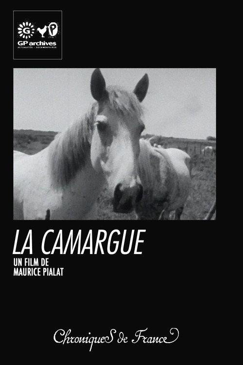La Camargue Poster