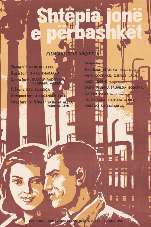 Our Shared House Poster