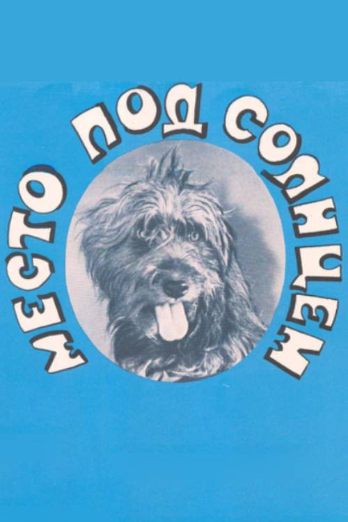 A Place Under the Sun Poster