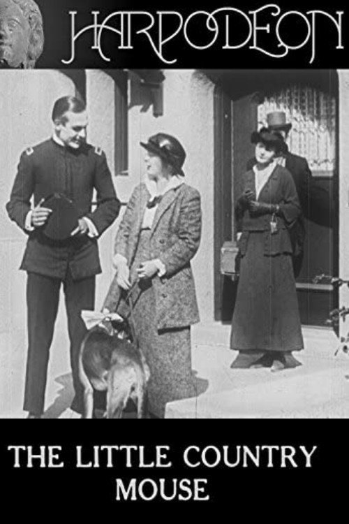 The Little Country Mouse Poster