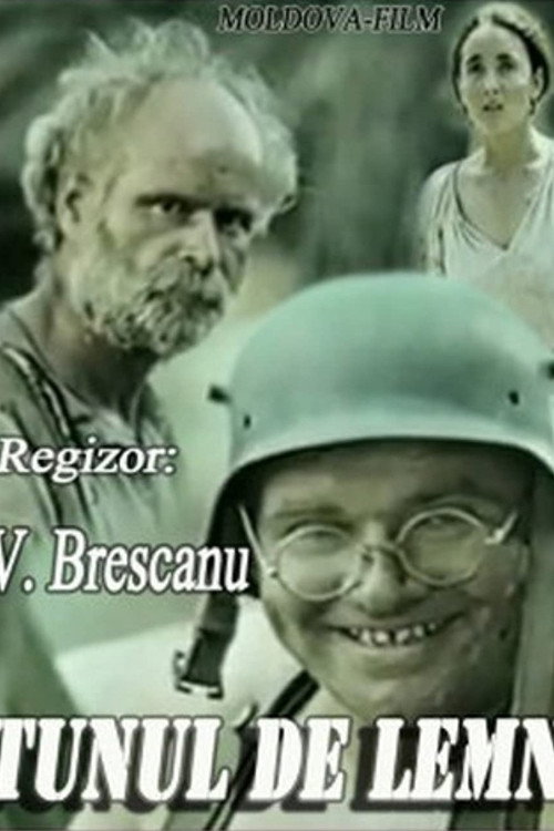 The Wooden Cannon Poster