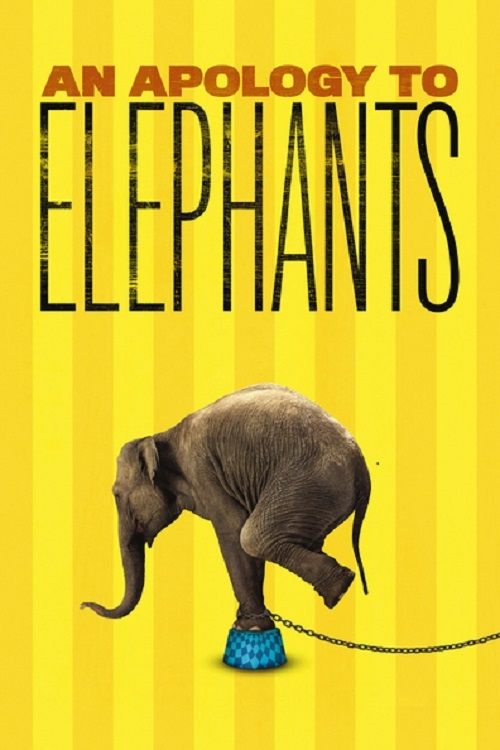 An Apology to Elephants Poster