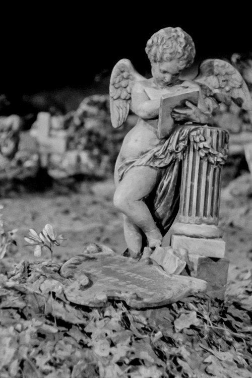 Life is Beautiful Poster