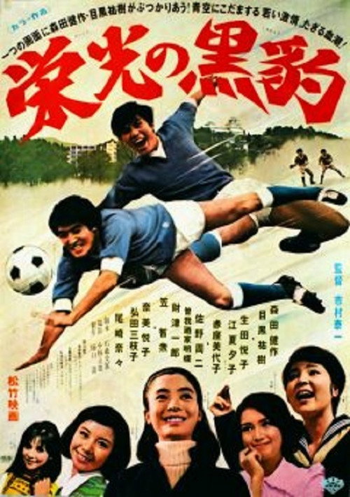Fight for the Glory Poster