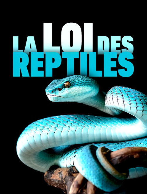 The Law of Reptiles Poster