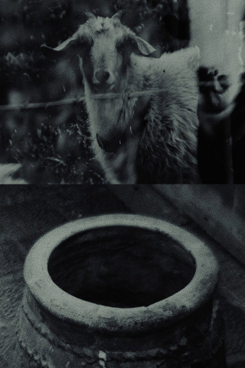 Though The Flock Shall Be Cut Off From The Fold Poster