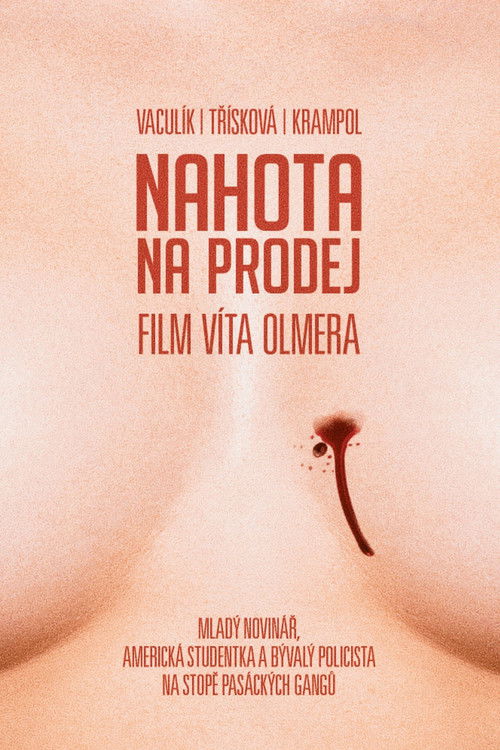 Nudity For Sale Poster