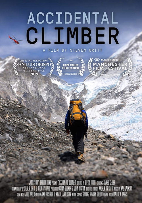 Accidental Climber Poster